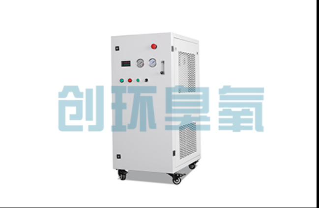 海西工厂化养鲈必看:2026年臭氧发生器替代传统消毒的最新方案