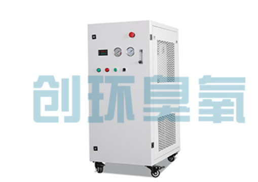 海西石斑鱼养殖水质调控完整指南:臭氧发生器配置与操作步骤